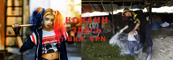 не бодяженный Аркадак