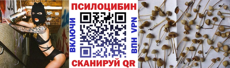 Псилоцибиновые грибы Psilocybine cubensis наркота Старая Купавна